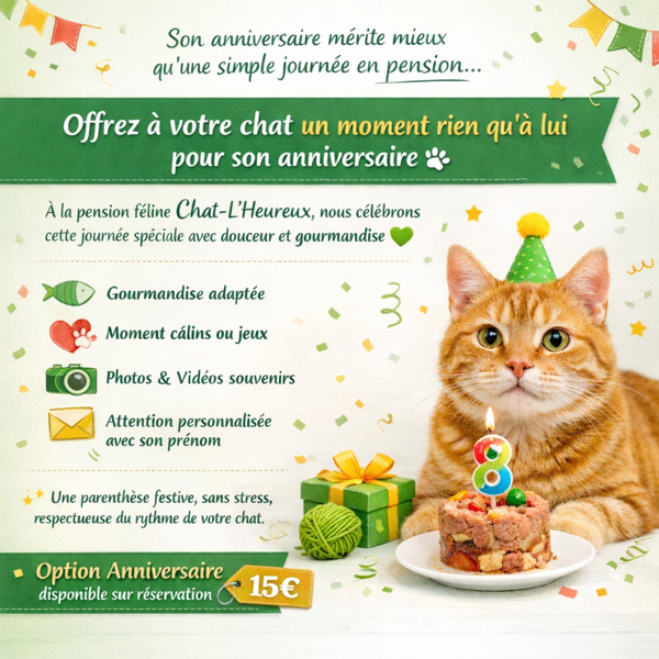 Option anniversaire