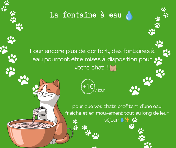 Option fontaine à eau