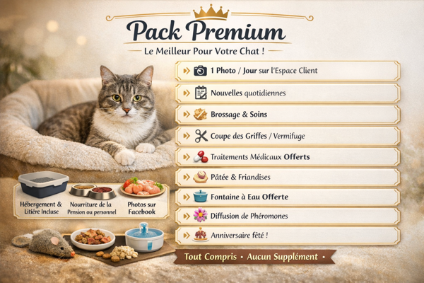 Pack Premium